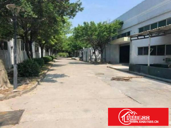 大亚湾原房东11米高独院单一层厂房招租