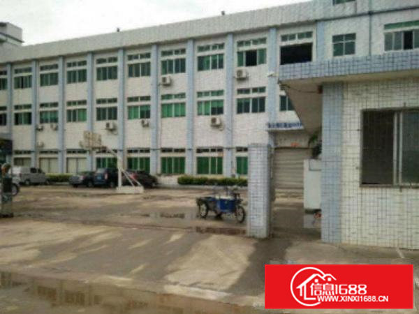 高埗工业区标准厂房一楼1000平方招租现成办公室装修水电齐全