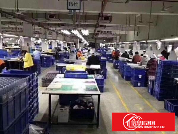 塘厦镇新出楼上800平方米出租带装修