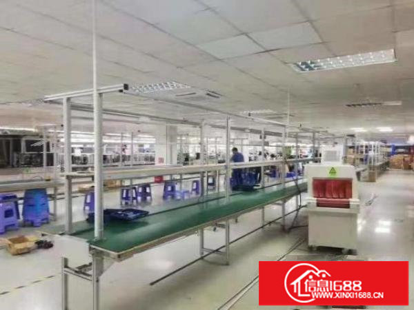 龙华大浪高新产业园厂房出租