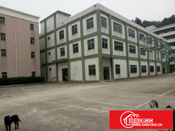 龙岗区水官高速标准一楼厂房700平方低价出租