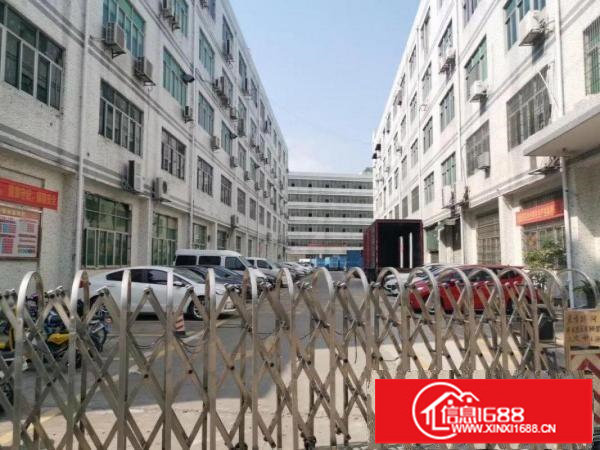 横岗带装修1250平方电子厂房出租