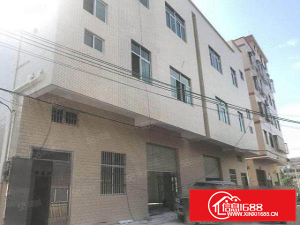 10元抢租啦！大朗蔡边独栋三层600平方民房随时看厂