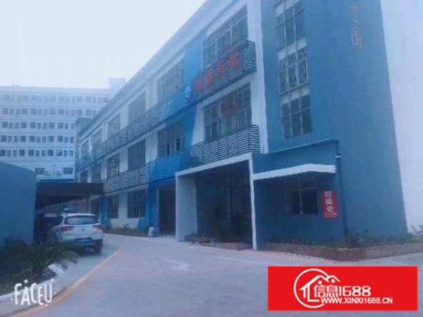 真实:樟阁1楼厂房330平租28一平