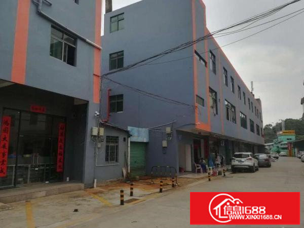 爱联宝荷路边电梯厂房2楼3楼802平米每层