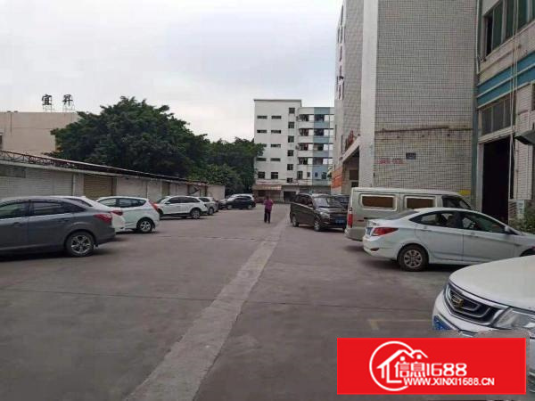 长安乌沙新出一楼厂房1200平与沙井一桥之隔