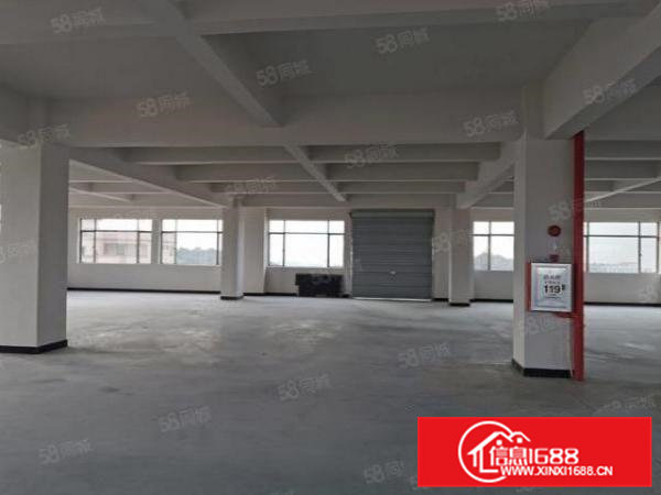 企石镇全新厂房一整层1200平米10元出租有客梯货梯工业用地