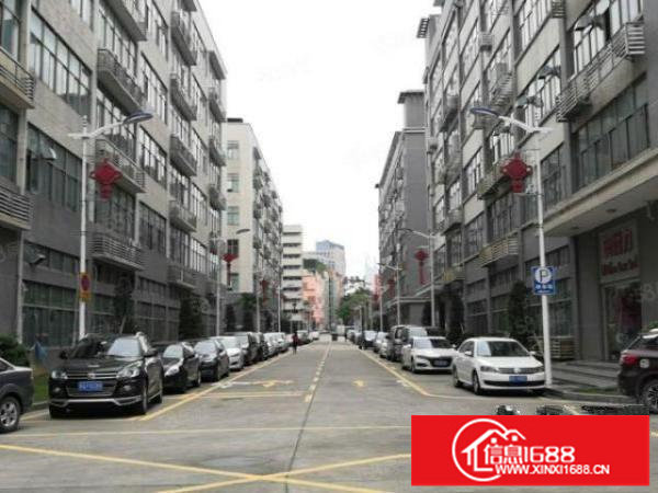 坪山原房东独院工业园精装厂房仓库出租5万平可分租300平起分