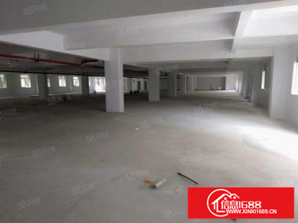 凤岗新出一楼700平厂房原房东厂房园区形象大气空地大