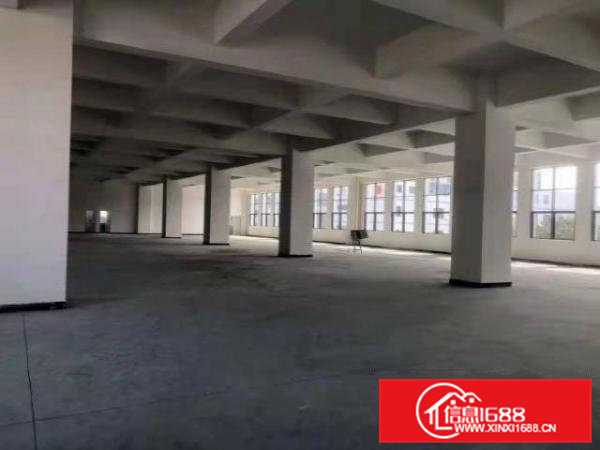 高埗标准厂房楼上出租500-1000平方厂房