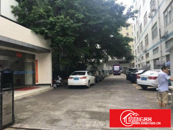 南联爱南路楼上600平米厂房出租