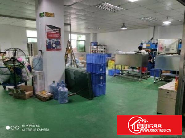 西乡洲石路边一楼300平米带装修厂房招租