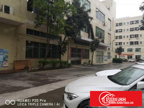 黎光原房东1楼3100平，可分租1000平，园区空地超大价低