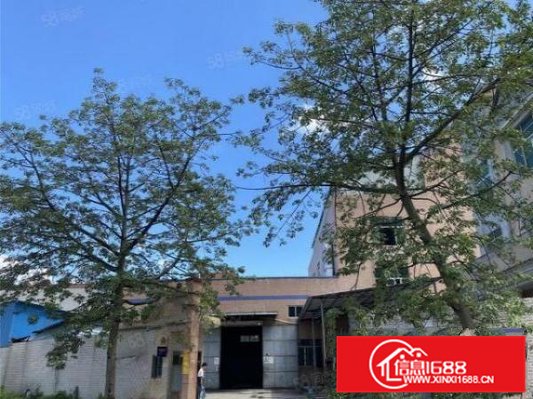 大路边，花园式，顺德勒流3400平方标准厂房出租