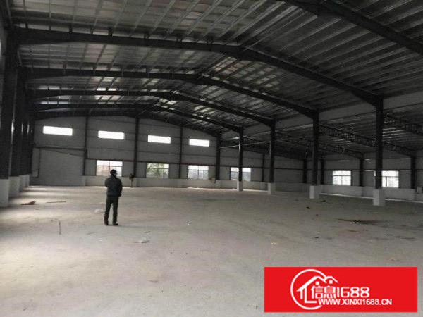 出租坪山新区坪山大道单一层钢构900平方，滴水7米