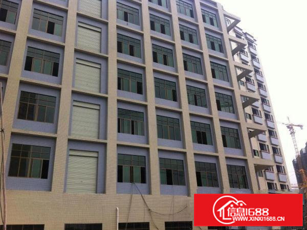 大岭山颜屋整层楼上810平方厂房招租