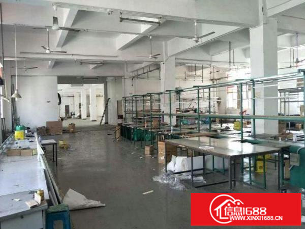 横岗简龙新出一楼标准厂房3000平方招商（可分租）