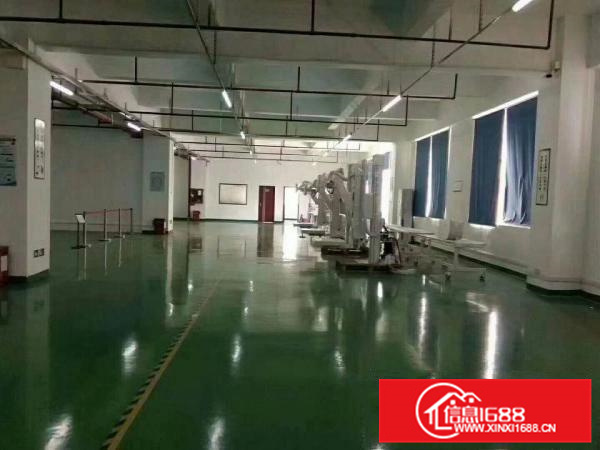 新圩约场市场楼上厂房1500平方出来