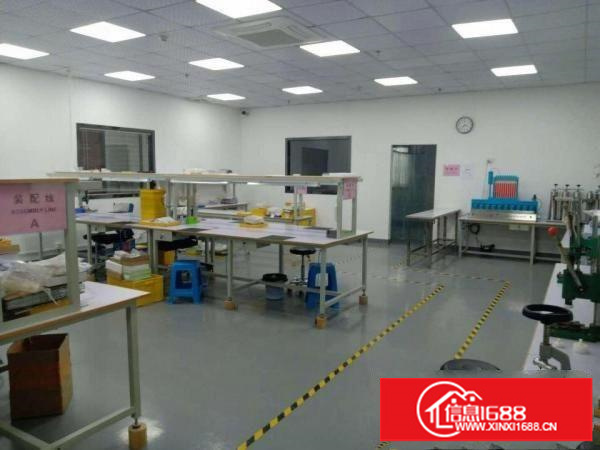 光明公明（上村楼上750平500平400平带装修.