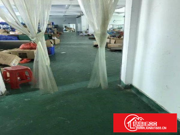 塘厦田心科苑城高速口新出二楼厂房1100平米