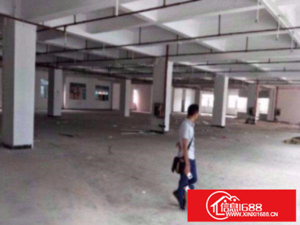 横岗地铁三号线附近标准厂房一楼950平交通方便形象好