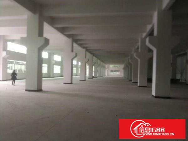 清溪镇九乡村原房东新建两层独门独院钢结构厂房6800平