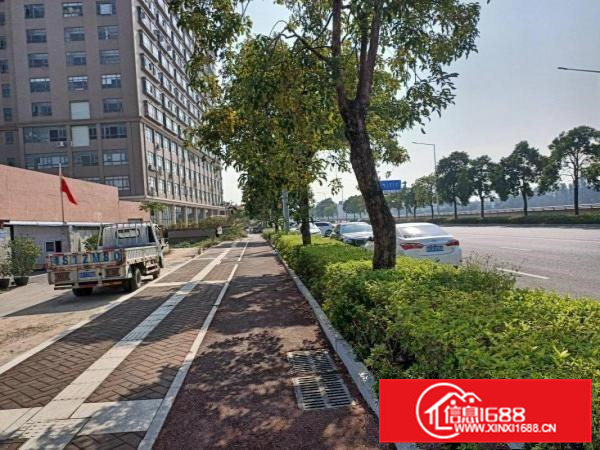 独院虎门白沙长堤路单一层办公室一应俱全