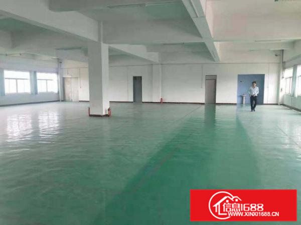 独院工业区厂房低价出租，可分租