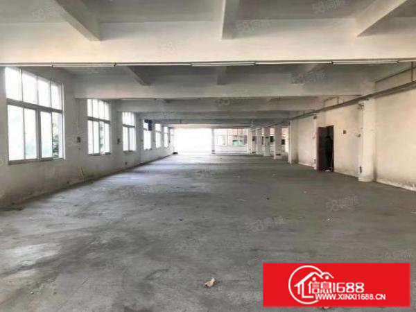 常平镇新出标准一楼1600平方租金便宜