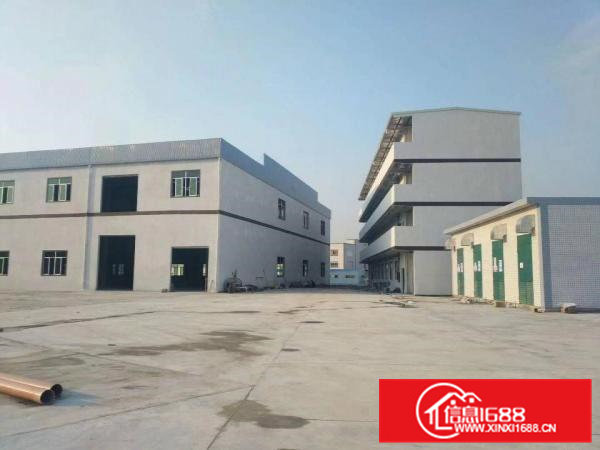 清溪原房东独院20000平方单一层一楼10米带行车