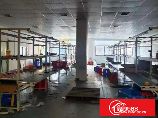 长安豪华装修厂房出租