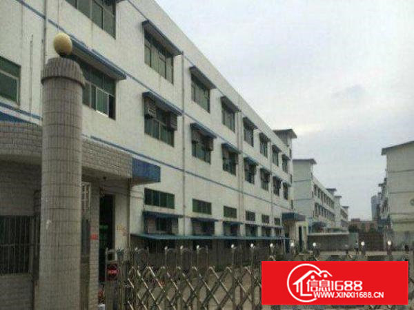 急租！清溪青皇楼上700平米带货梯精装修厂房