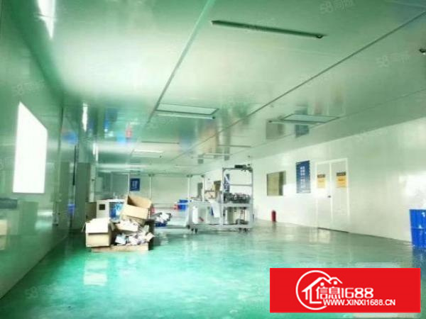 龙岗同乐新空出800平无尘车间原房东