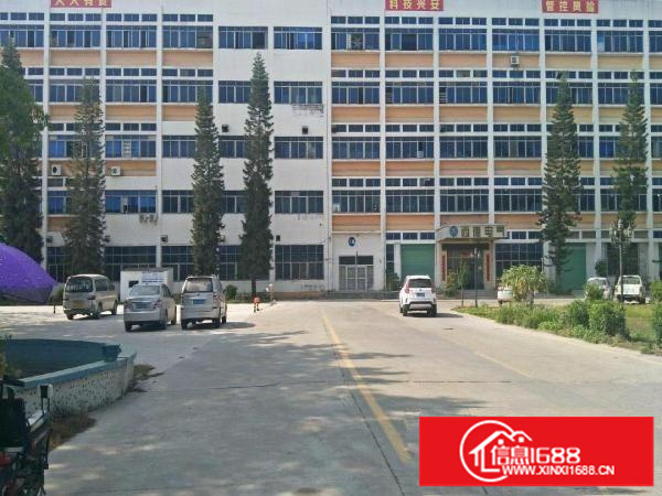 龙岗坪地600平楼上带精装厂房出租地坪漆空地大