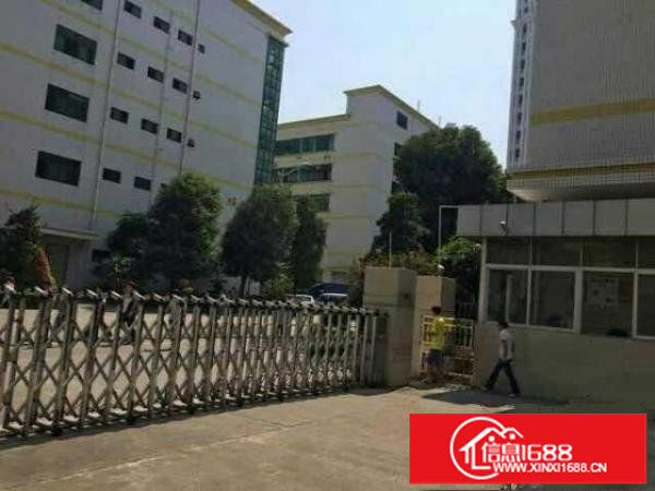 观澜，高新园周边独院厂房，5000平可分租