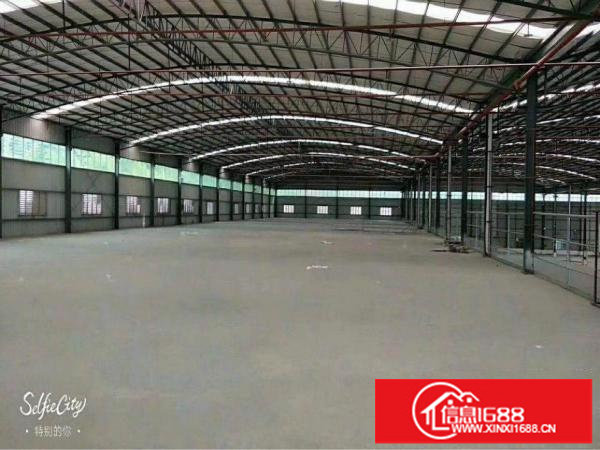 出租全新单一层八米高标准厂房招租