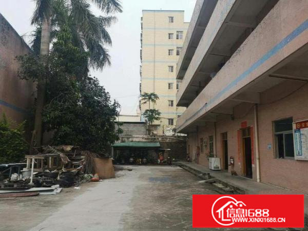 坪山区坑梓龙湾路边钢架厂房1200平米出租