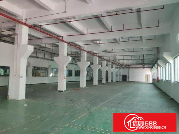 横沥镇独院工业厂房出租，原房东，一楼6米带牛角，空地大