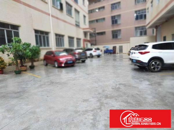 新出独院！长安1400平独院厂房出租，全新装修水电齐全