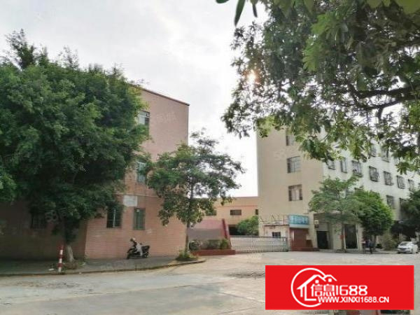 独院，带独立办公，顺德勒流6000平方简易厂房出租