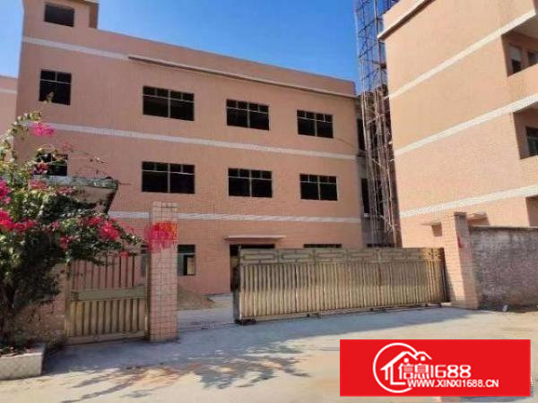 自建小独院1800平方1～3层厂房出租