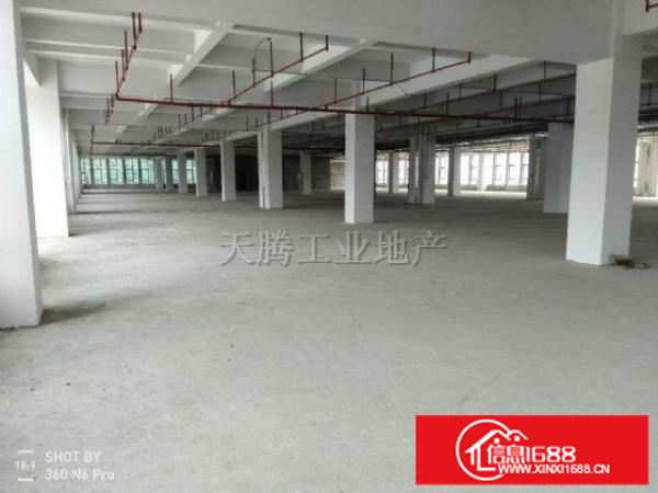 龙江陈涌工业区11900方，全新商品式厂房，形象好