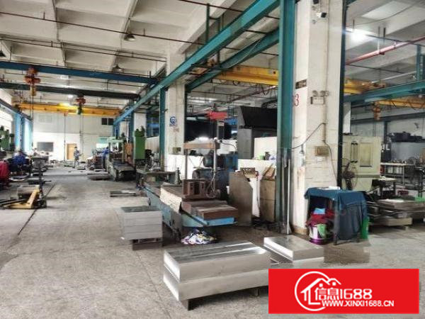 凤岗原房东2个独院厂房A7000B15000面积实在