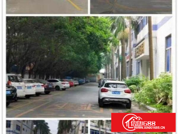 一楼1150平厂房出租龙岗中心城南联地铁口500米