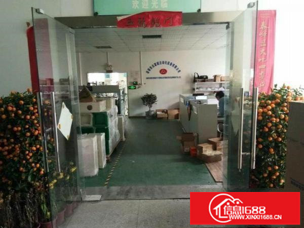 观澜新田800平方厂房出租带装修不要转让费