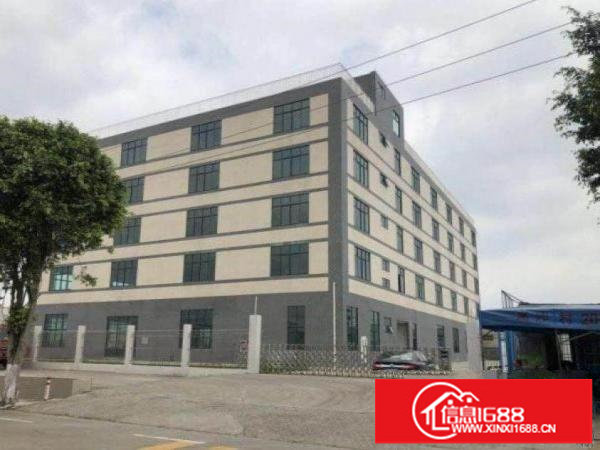 坂田原房东，500平米，独门独院厂房招租