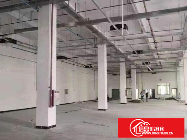 大朗新出独院14800平标准厂房钢构，部分无尘车间，地坪漆