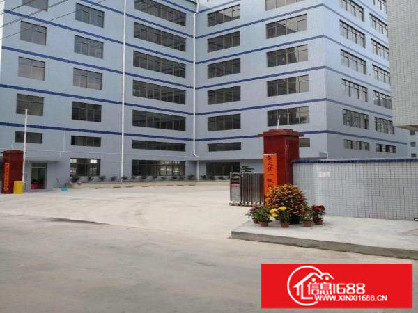 坪山碧岭原房东楼上厂房1045平没有公摊送精装修