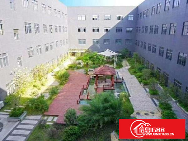 松山湖附近高新科技园