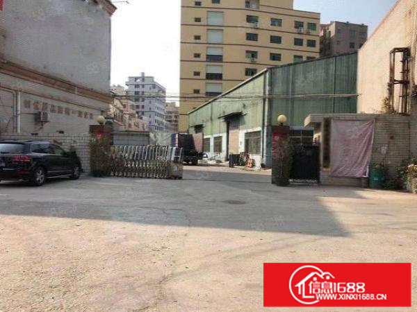 大岭山颜屋2300平独栋单一层钢构厂房仓库出租,滴水8.5米